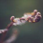 爱拼网娱乐:探索多元化的在线娱乐平台新选择 2rigosd