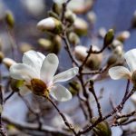 7位开奖结果揭晓,幸运号码震撼公布 4ei0f6