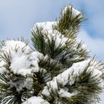 79555开奖结果揭晓,幸运号码震撼公布 gwe7bd