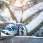 7位数开奖结果何时揭晓?最新开奖时间公布 pggc5wj