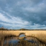 7974开奖结果揭晓,幸运号码震撼公布 u9e73f0