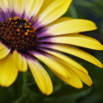 NBA极速视频直播:畅享高清流畅的篮球赛事盛宴 8z9j187xp