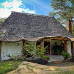 NBA极速直播免费在线观看高清流畅不卡顿 a4xf3c7