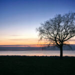 NBA无插件高清现场直播,精彩对决即刻呈现 x81jp